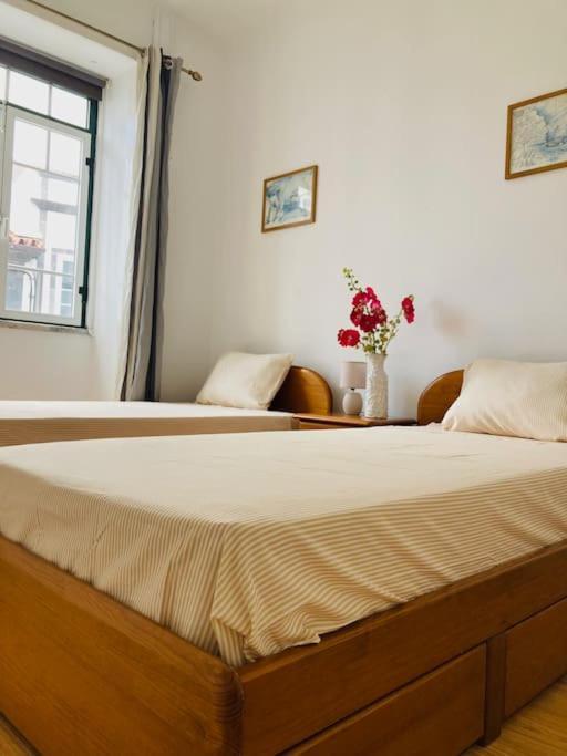 Downtown Apartment 奥尔塔 外观 照片