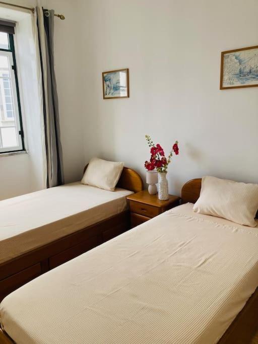Downtown Apartment 奥尔塔 外观 照片
